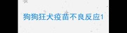狗狗狂犬疫苗不良反应