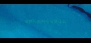 宠物弓形虫疫苗是什么