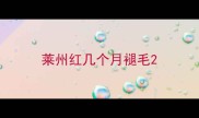 莱州红几个月褪毛
