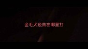 金毛犬疫苗在哪里打