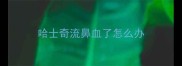 哈士奇流鼻血了怎么办