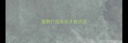 猫要打疫苗后才能洗澡