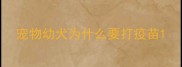 宠物幼犬为什么要打疫苗