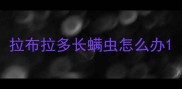 拉布拉多长螨虫怎么办