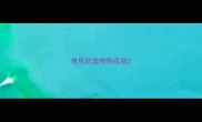 常用的宠物狗疫苗