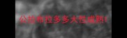 公拉布拉多多大性成熟