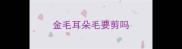 金毛耳朵毛要剪吗