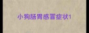 小狗肠胃感冒症状