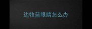 边牧蓝眼睛怎么办