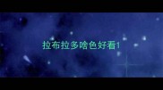拉布拉多啥色好看