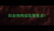 阳泉狗狗疫苗那里卖