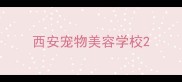 西安宠物美容学校