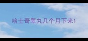 哈士奇睾丸几个月下来