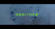 西高地2个月体重