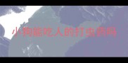 小狗能吃人的打虫药吗