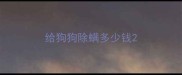 给狗狗除螨多少钱