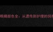 金毛犬眼睛颜色全从遗传到护理的饲养指南