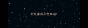 北京家养灰色泰迪