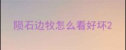 陨石边牧怎么看好坏