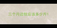 三个月边牧应该多少斤
