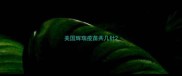 美国辉瑞疫苗共几针