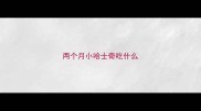 两个月小哈士奇吃什么