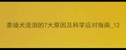泰迪犬流泪的7大原因及科学应对指南1