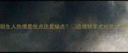边牧对陌生人热情是优点还是缺点边境牧羊犬社交训练全攻略