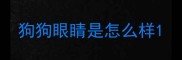 狗狗眼睛是怎么样