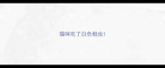 猫咪吃了白色蛆虫