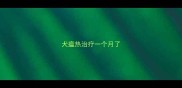 犬瘟热治疗一个月了