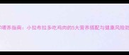 科学喂养指南小拉布拉多吃鸡肉的5大营养搭配与健康风险防控