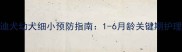 泰迪犬幼犬细小预防指南1-6月龄关键期护理全