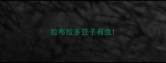 拉布拉多豆子有虫