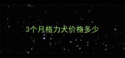 3个月格力犬价格多少
