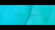 狗可以打狂犬病疫苗