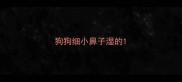 狗狗细小鼻子湿的