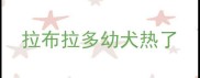 拉布拉多幼犬热了