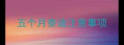 五个月泰迪注意事项
