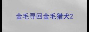 金毛寻回金毛猎犬