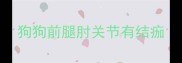 狗狗前腿肘关节有结痂