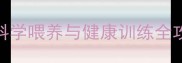 罗威纳幼犬2月龄养护指南科学喂养与健康训练全攻略含疫苗食谱行为矫正