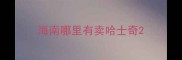 海南哪里有卖哈士奇