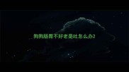 狗狗肠胃不好老是吐怎么办
