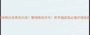 猫咪眼白发黄有白斑警惕眼疾信号附养猫家庭必看护理指南
