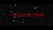 一直吃奶的小狗叫