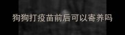 狗狗打疫苗前后可以寄养吗