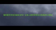 猫咪夏天吹电风扇安全吗过来人教你科学应对高温的5大要点