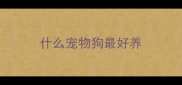 什么宠物狗最好养
