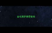 金毛跟萨摩耶智商